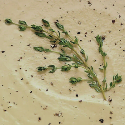 Egg Gravy with Thyme